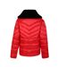 Dare 2B Womens/Ladies Julien Macdonald Suppression Contrast Panel Padded Jacket (Volcanic Red) - UTRG8544