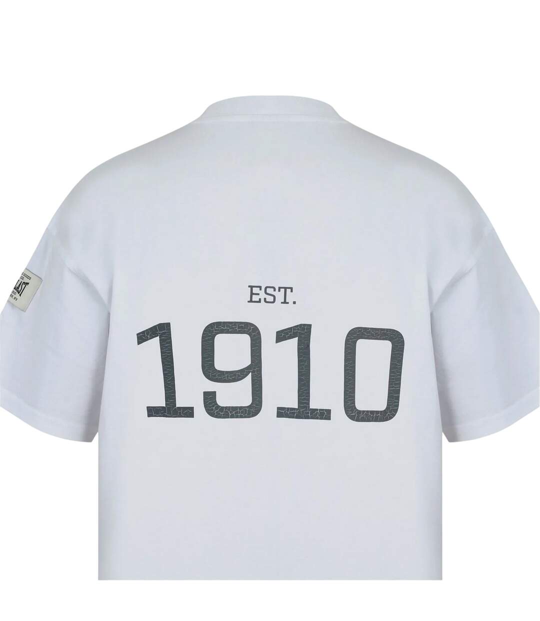Mens Nyc Logo Crew Neck Oversized T-shirt White Everlast-4