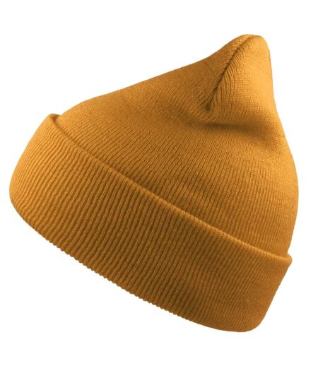 Bonnet Wind Adulte Vert Mousse Atlantis