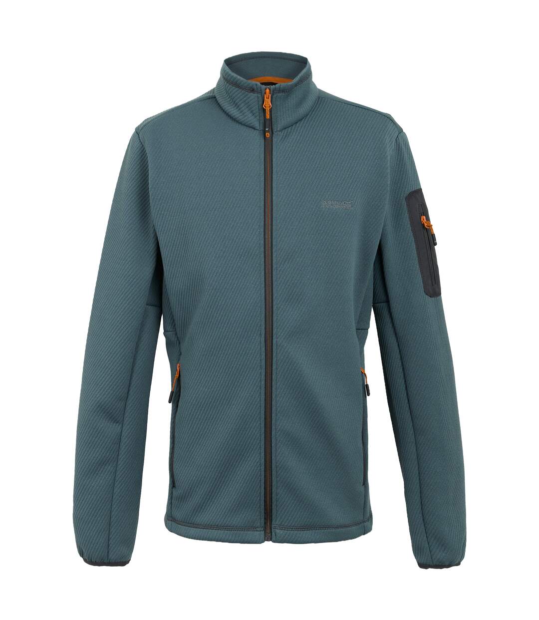 Veste Softshell Aldean Homme Gris Orageux Regatta-2