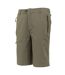Short Décontracté Highton Homme Marron Regatta-3