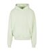 Sweat À Capuche Adulte Menthe Clair Build Your Brand-1