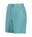 Regatta Womens/Ladies Mountain II Shorts (Bristol Blue) - UTRG6846