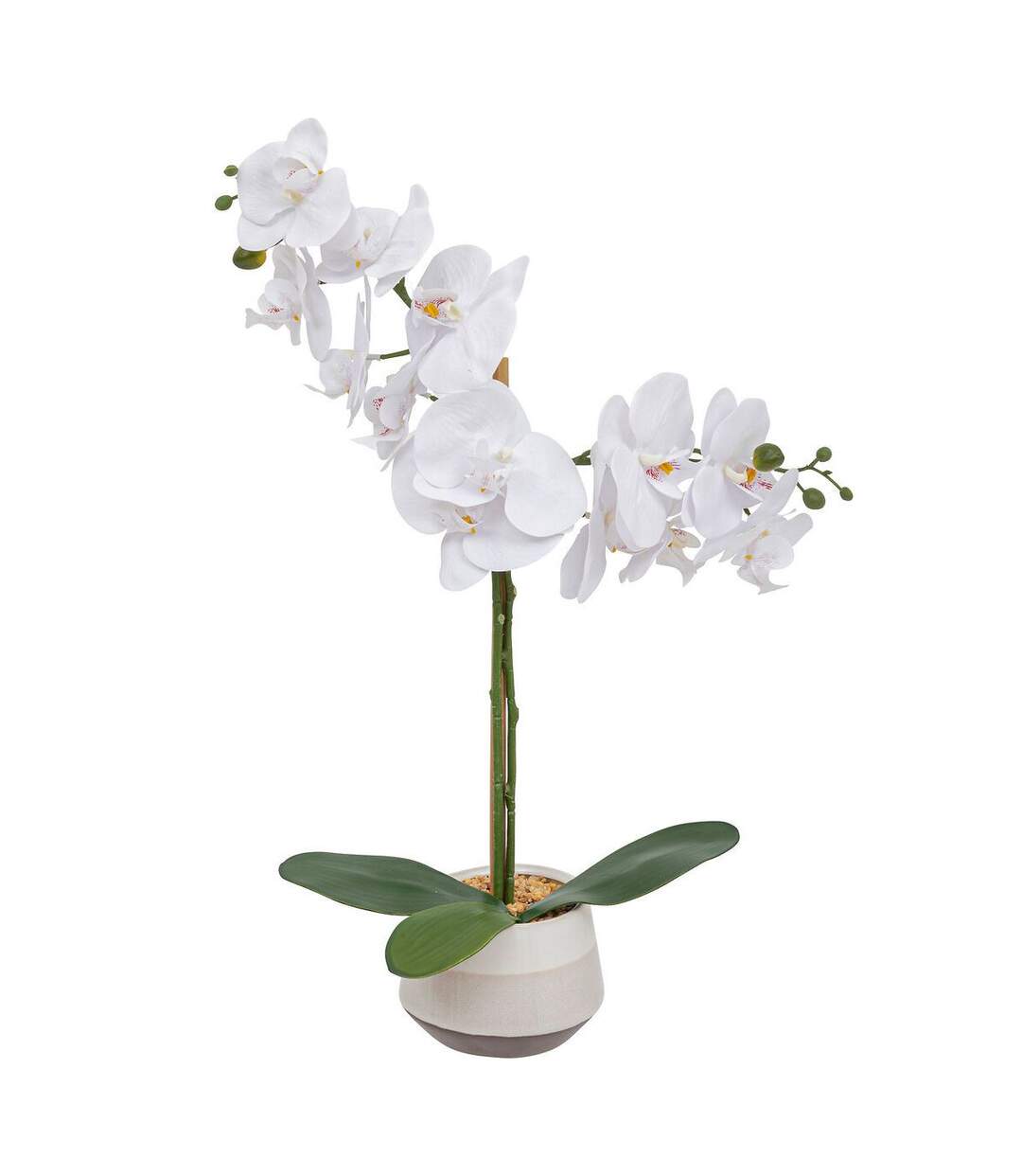 Orchidée Artificielle en Pot Clera 52cm Blanc-1