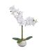 Orchidée Artificielle en Pot Clera 52cm Blanc-1