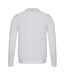 Pull blanc homme us polo assn enea-2