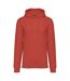 Unisex Adult Heavyweight Hoodie Paprika Native Spirit-1