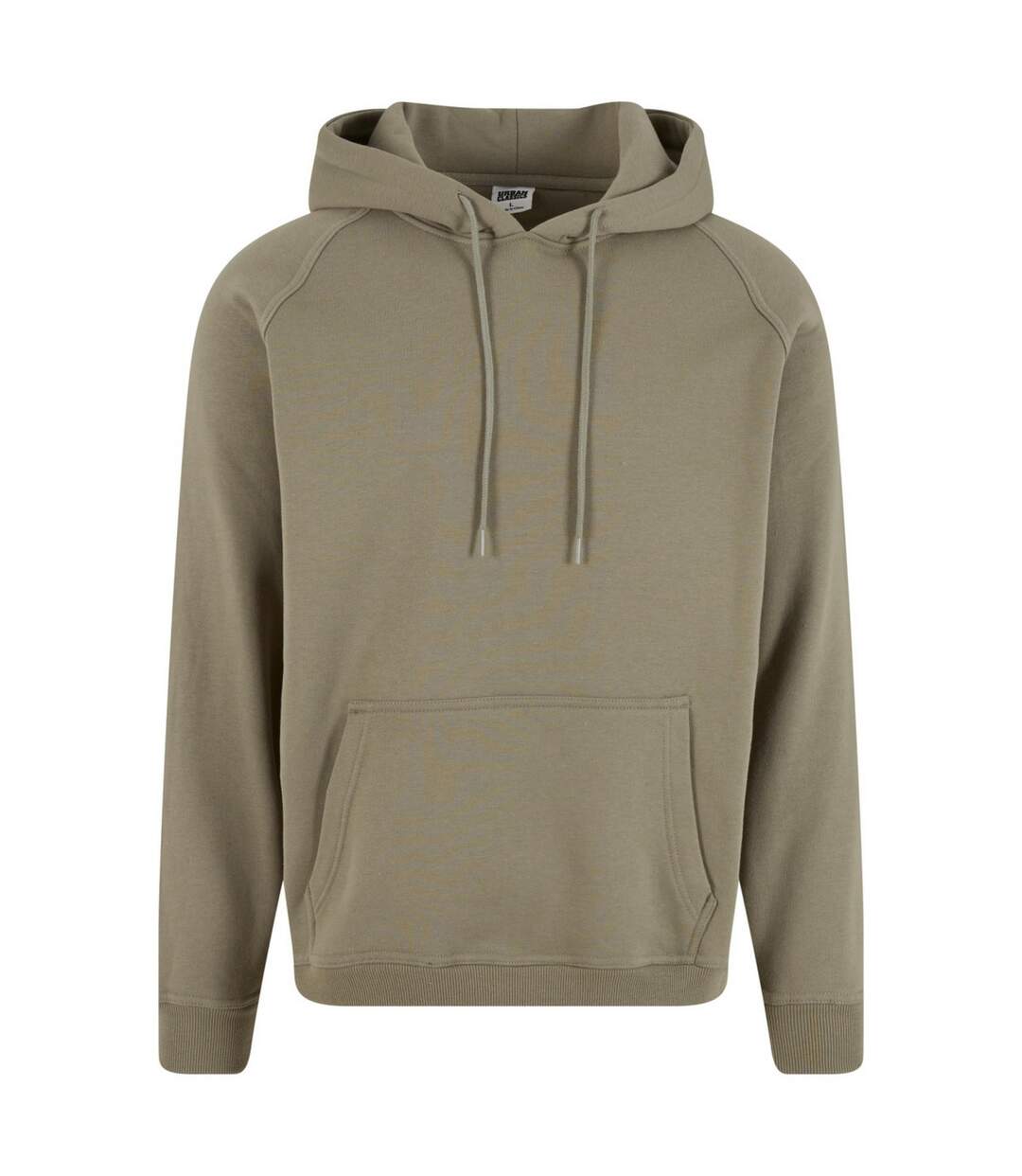 Sweat À Capuche Homme Vert Pâle Urban Classics-1