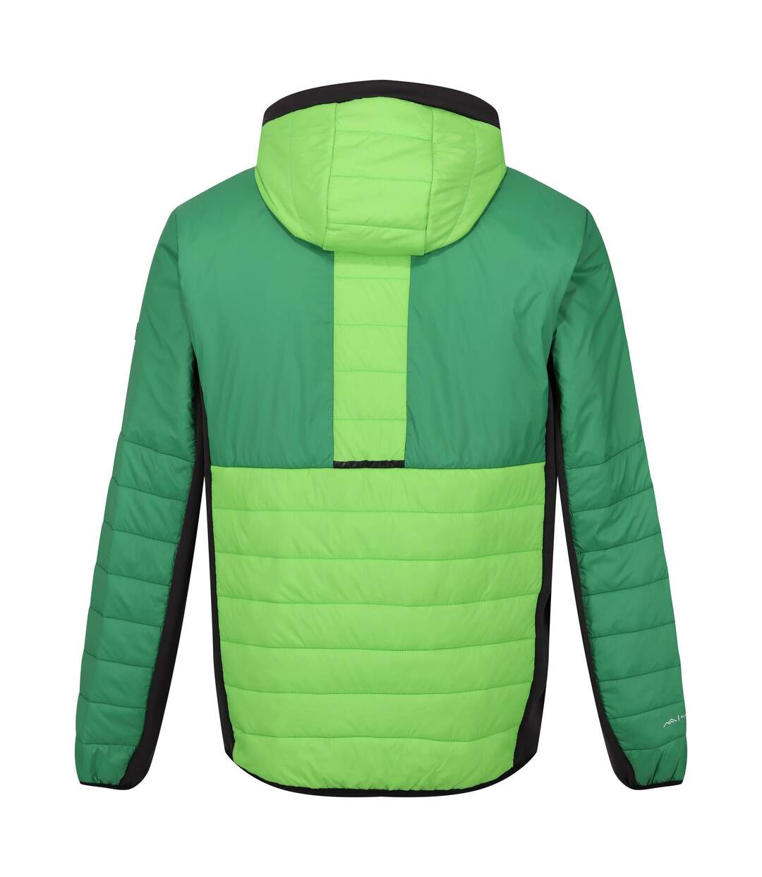Doudoune Matelassée Trutton Homme Vert Jasmin Vert Des Champs Regatta-2