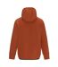 Sweat À Capuche Ollie Homme Épices Arabes Dare 2B-3