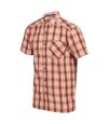 Regatta Mens Mindano VI Checked Short-Sleeved Shirt (Fox) - UTRG7731