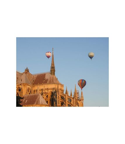 Vol en montgolfière au-dessus des vignobles de Champagne - SMARTBOX - Coffret Cadeau Sport & Aventure