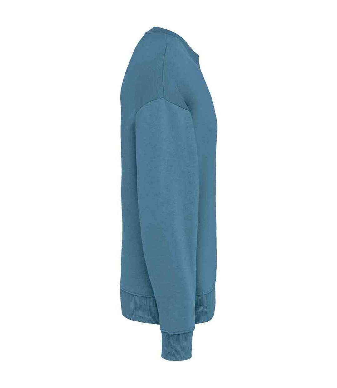 Womens/ladies Oversized Sweatshirt Adriatic Blue Native Spirit-3