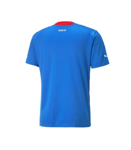 Islande Maillot Réplica Domicile Adulte Puma 2022/2023 - L