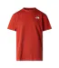 Mens Vertical Performance T-shirt Iron Clay The North Face-2