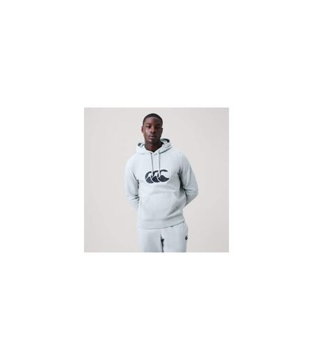 Sweat À Capuche Motif/style Logo Rakaia 2.0 Homme Gris Canterbury