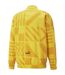 Mens Manchester City Fc Lightweight Anorak Spectra Yellow Puma-2