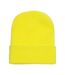 Yupoong Flexfit Unisex Heavyweight Standard Beanie Winter Hat (Powdery Yellow) - UTRW3294