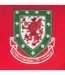 Mens 1958 John Charles 9 Retro T-shirt Red FA Wales-3