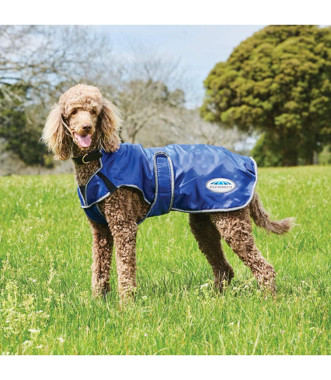 Comfitec windbreaker free deluxe dog coat 45cm dark blue/grey/white Weatherbeeta-2