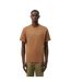 T-shirt Style Logo Brodé Homme Marron Lacoste-1