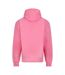 Unisex Adult Signature Heavyweight Hoodie Bubblegum Pink Awdis-2