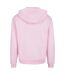 Sweat À Capuche Homme Rose Clair Urban Classics-2