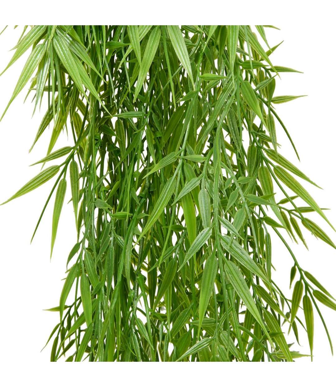 Plante Tombante Bambou Tilna 100cm Vert-3