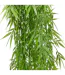 Plante Tombante Bambou Tilna 100cm Vert-3
