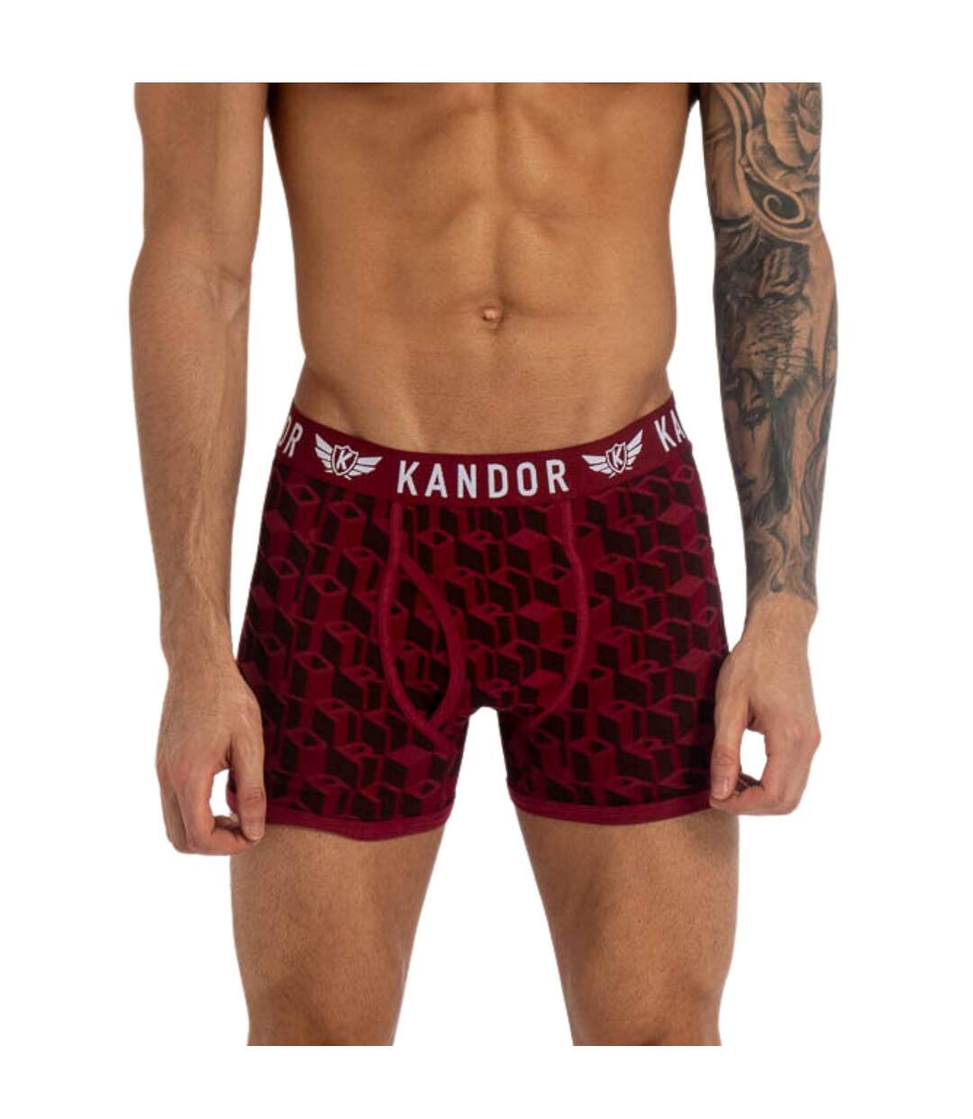 Pack of 5  Mens lingo boxer shorts  red Kandor