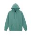 Unisex Adult Softstyle Fleece Midweight Hoodie Aquatic Gildan-1