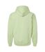 Sweat À Capuche Softstyle Adulte Vert Pistache Gildan-2