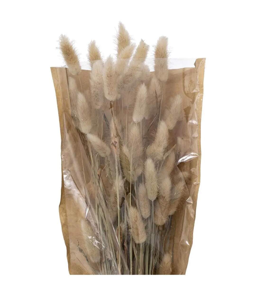 Bouquet de Fleurs Queue de Lapin 58cm Ivoire-2