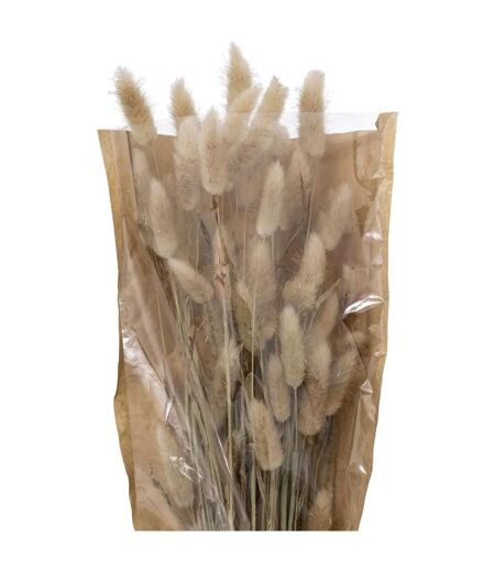 Bouquet de Fleurs Queue de Lapin 58cm Ivoire