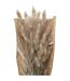 Bouquet de Fleurs Queue de Lapin 58cm Ivoire-2