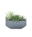 Décoration Murale à Suspendre Plante 44cm Gris-3