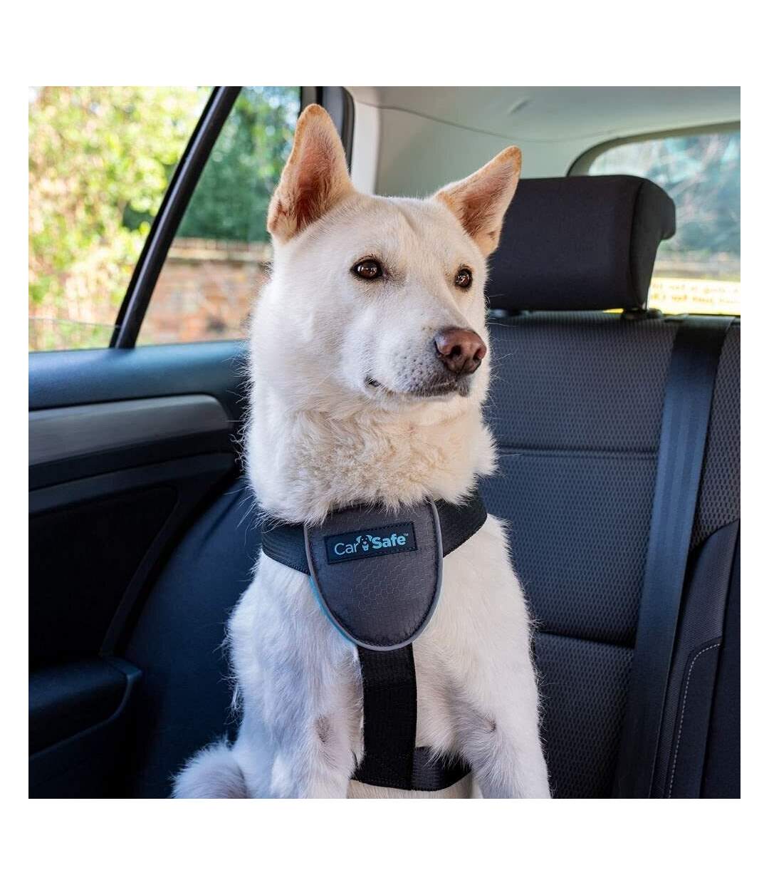 Carsafe dog car harness xs black Company Of Animals-2