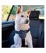 Company Of Animals Carsafe Dog Car Harness (Black) (XS) - UTTL4958
