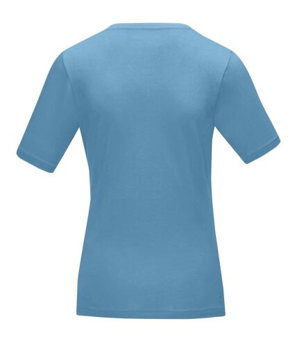 Elevate Womens/Ladies Kawartha Short Sleeve T-Shirt (Sky Blue)