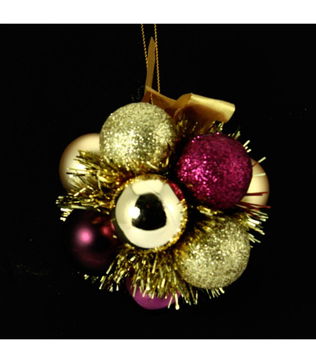 Fleur de Noël-1