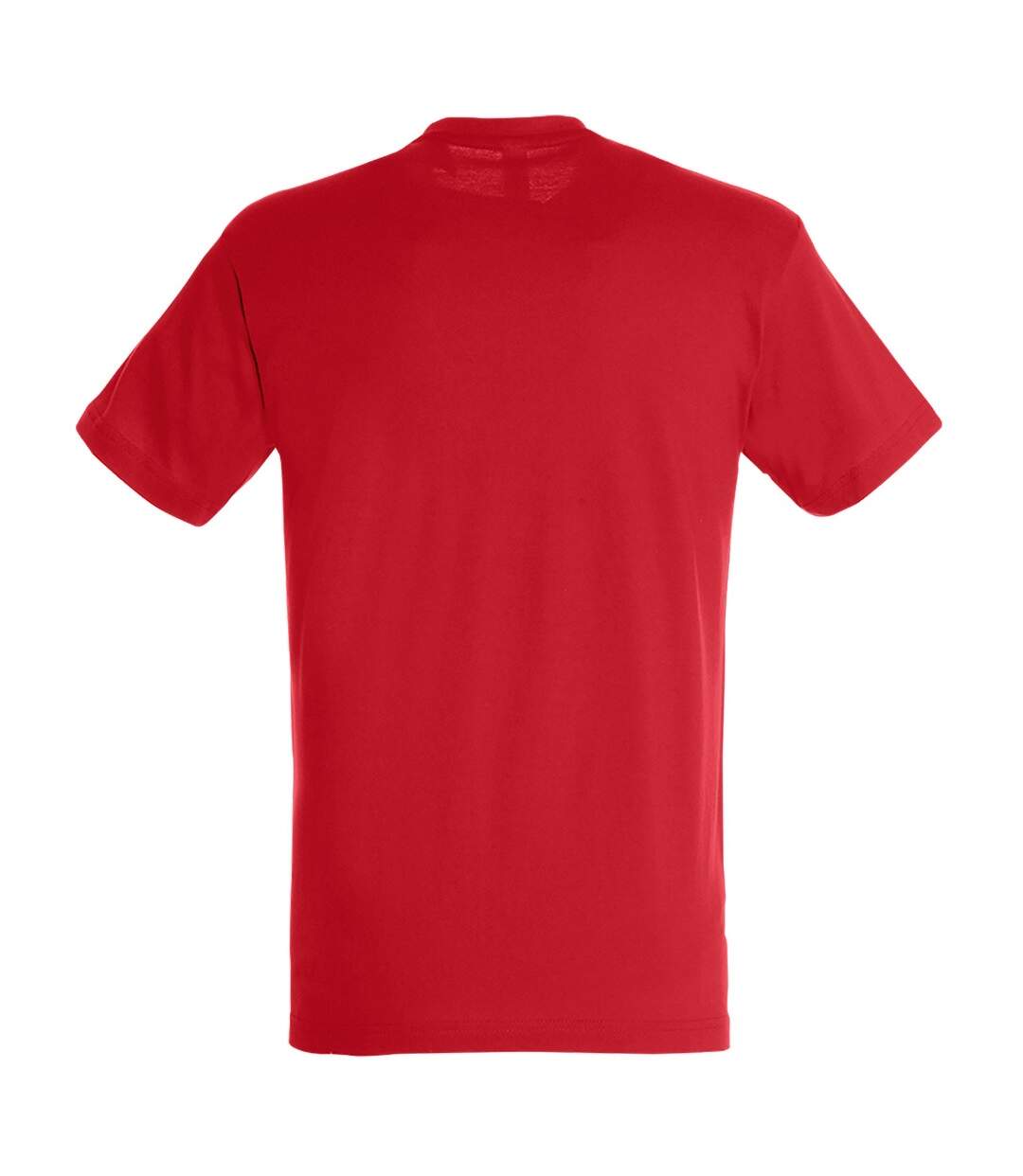 SOLS Mens Regent Short Sleeve T-Shirt (Red) - UTPC288-2