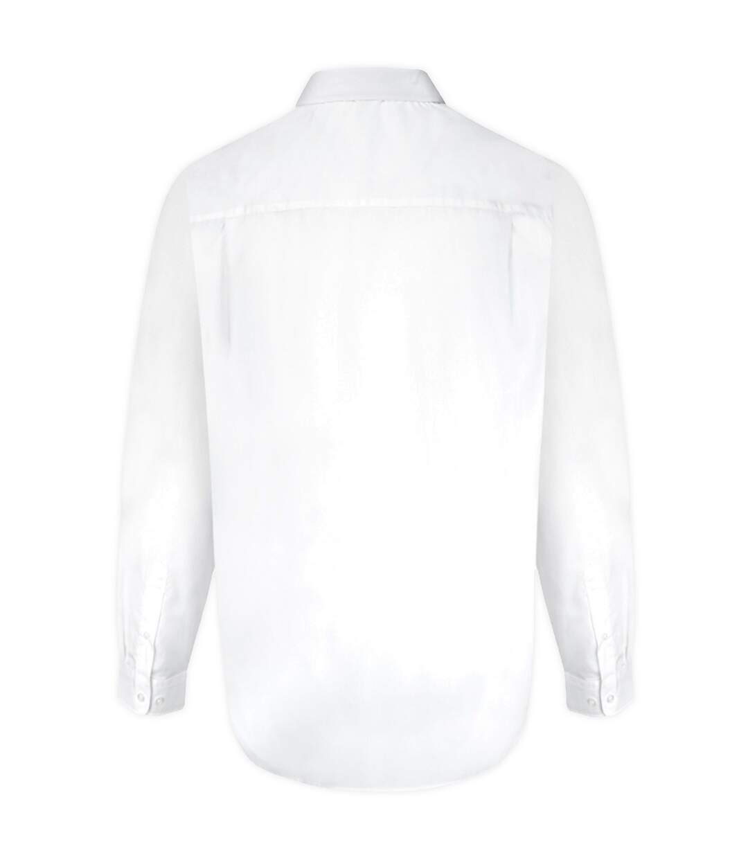 Duke Mens Aiden Kingsize Long Sleeve Classic Regular Shirt (White) - UTDC197-3