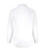 Duke Mens Aiden Kingsize Long Sleeve Classic Regular Shirt (White) - UTDC197-3