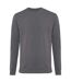 Unisex adult zion recycled cotton crew neck sweatshirt anthracite Iqoniq-1