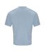 Unisex adult 100 oversized t-shirt sky blue Awdis