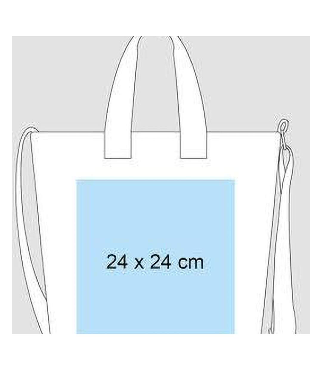 Bagbase Canvas Daybag / Hold & Strap Shopping Bag (3.9 Gallons) (Light Grey) (One Size) - UTBC2542-3