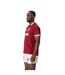 Maillot De Rugby Motif/style British & Irish Lions Homme Rouge Écarlate Canterbury-4