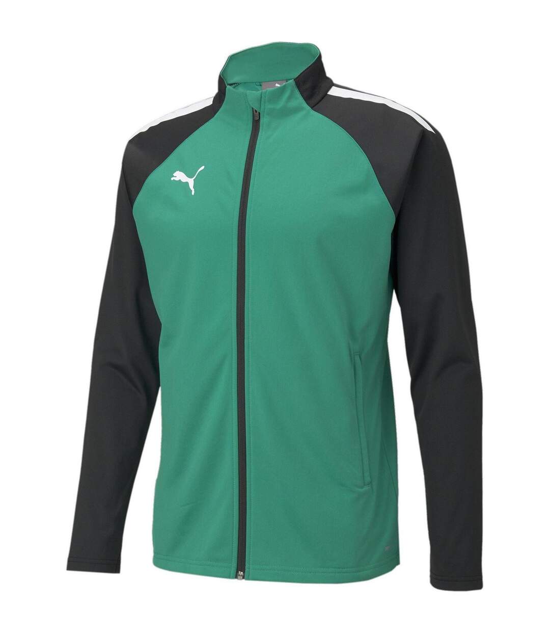Mens Teamliga Tracksuit Top Green Black Puma-1