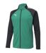 Mens Teamliga Tracksuit Top Green Black Puma-1