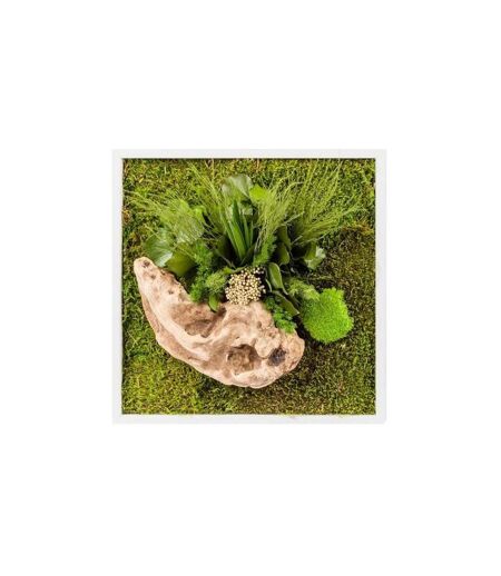 Tableau végétal stabilisé nature Carré 35 x 35 cm